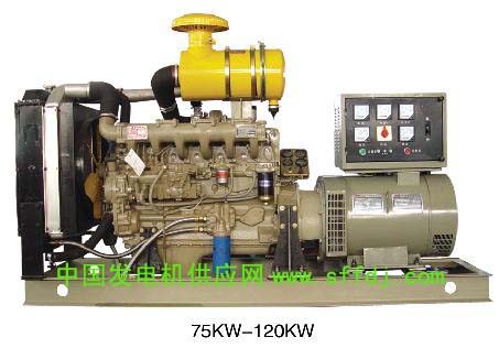 06 中國發(fā)電機網(wǎng)