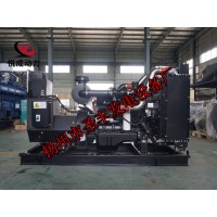 6ZTAA13-G3康明斯動力配套300KW柴油發(fā)電機(jī)組